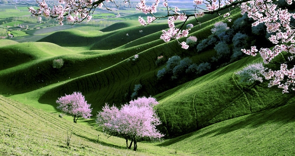 粉象生活一个粉丝多少收益