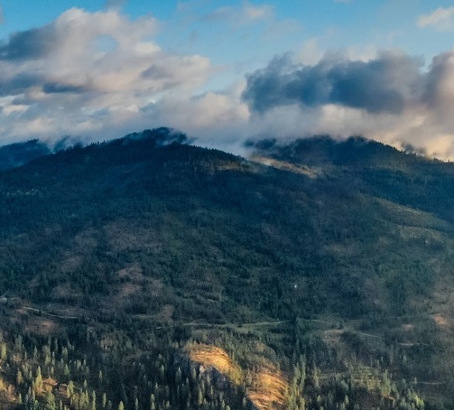 粉象生活下载app