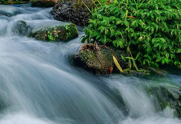 粉象生活赚钱教程