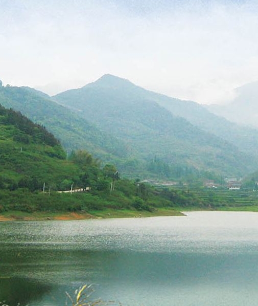 粉象生活注册连接