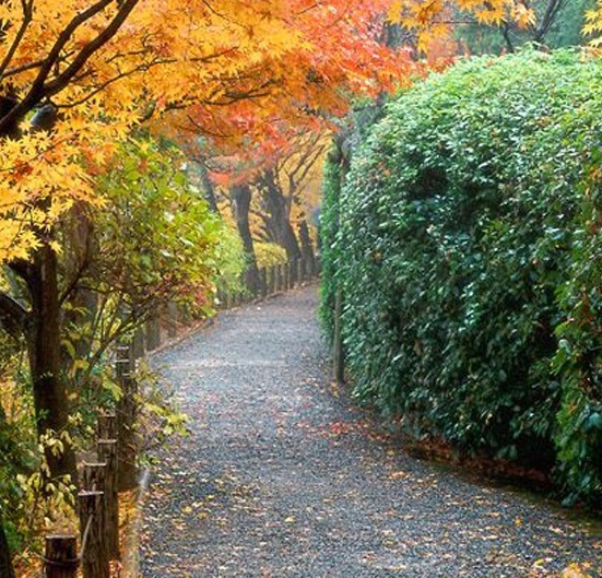 粉象生活邀请码