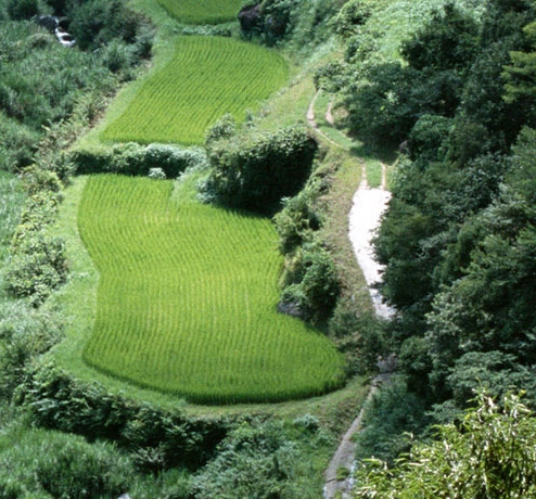 淘宝仓库中的宝贝怎么上架