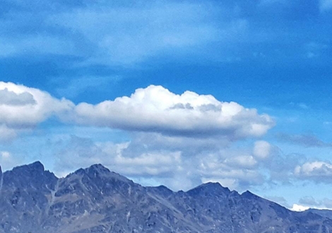 粉象生活到底能不能做