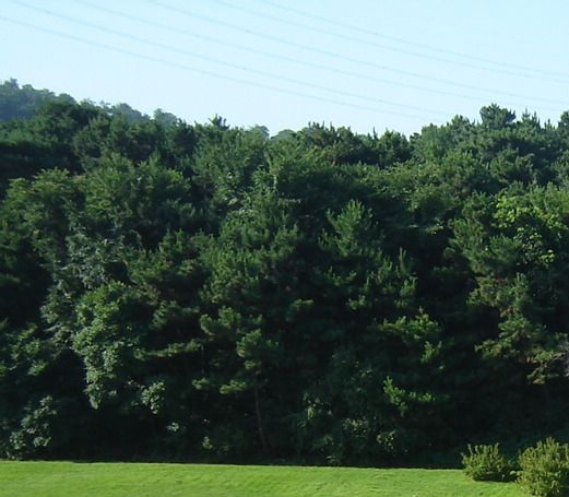 粉象生活佣金系统