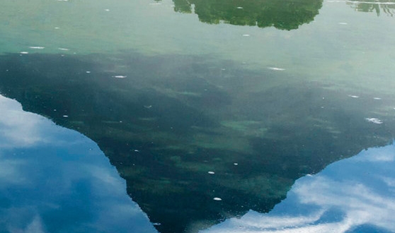 驻马店粉象生活