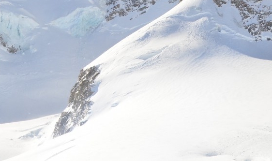 粉象生活真实收入