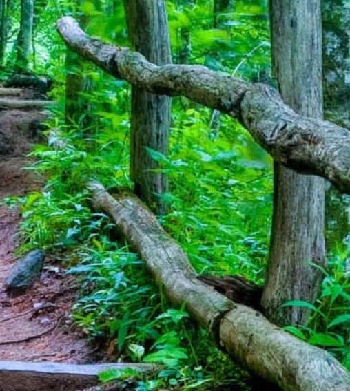 粉象生活怎么推广快手账号