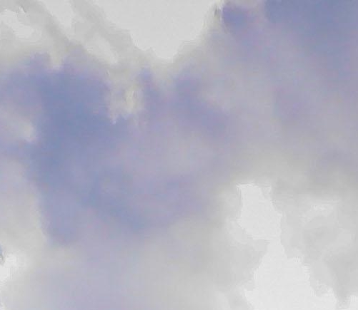 粉象生活淘宝怎么做