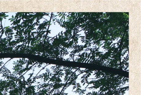 粉象生活可以做几个人的店