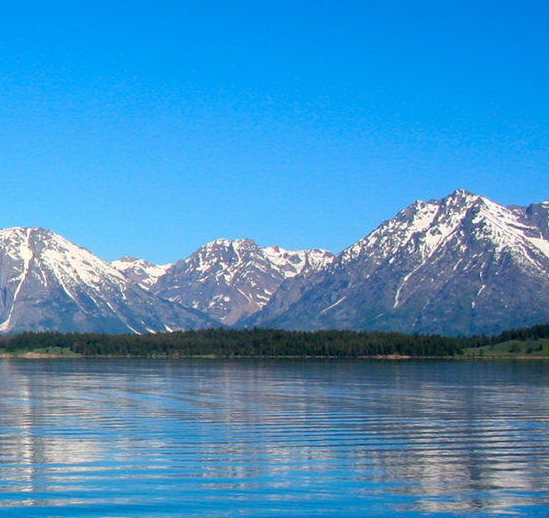 闲鱼如何使用粉象生活代发