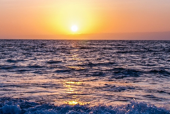 有没有必要开通粉象会员