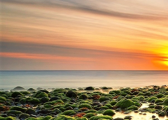 云集粉象生活直播