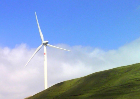 粉象生活邀请码填谁的最好