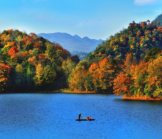 粉象生活能挣钱吗