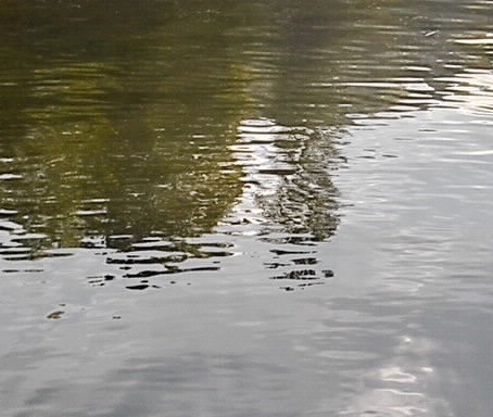 上海一站式粉象生活推广