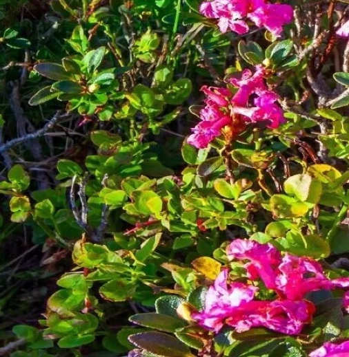 粉象生活注册邀请码