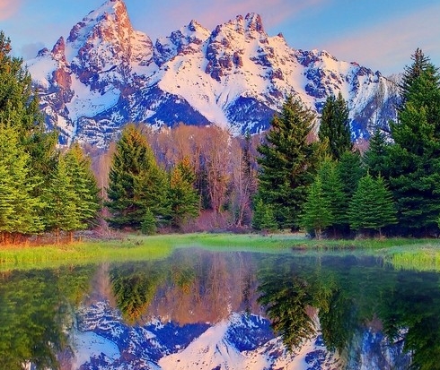 深圳粉象生活app