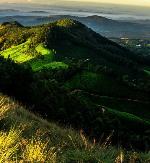 粉象生活下载app