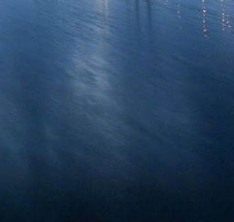 粉象生活收费吗