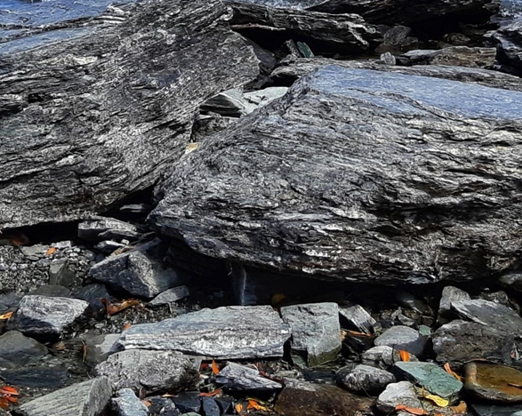 粉象生活的商品怎么搜索