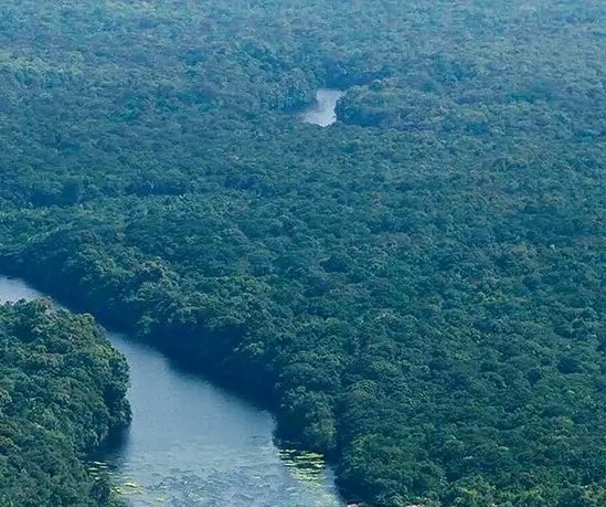 粉象生活加粉方法