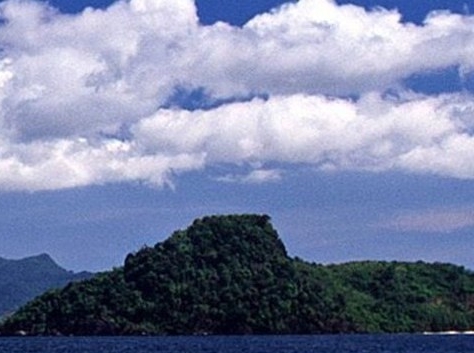 粉象生活粉丝怎么增加