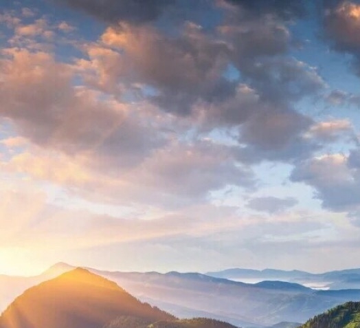 粉象生活充会员能赚钱吗