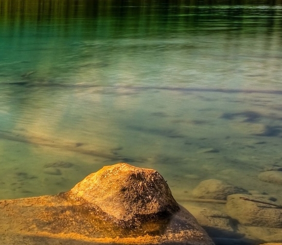 粉象生活升级太难