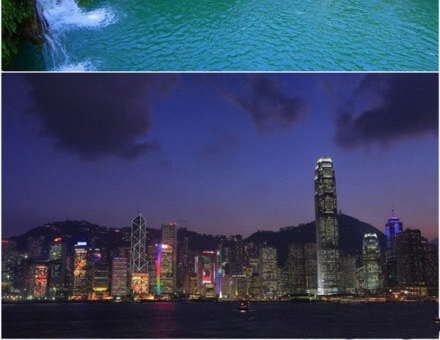 深粉象 罗斯福6号