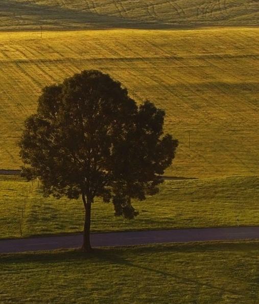 粉象生活的现金怎么用