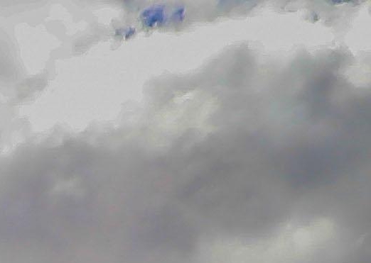 粉象生活下载ios