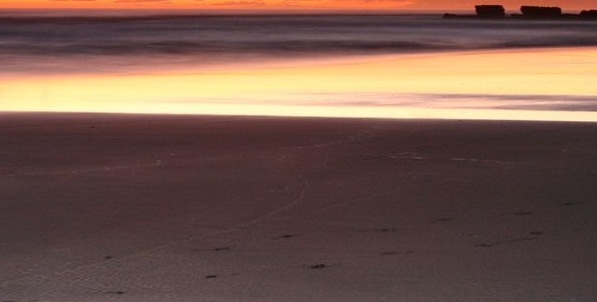 粉象生活推广可以做吗