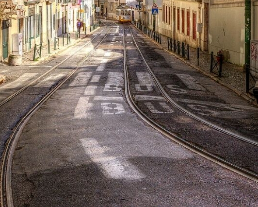 红的象火粉的象霞