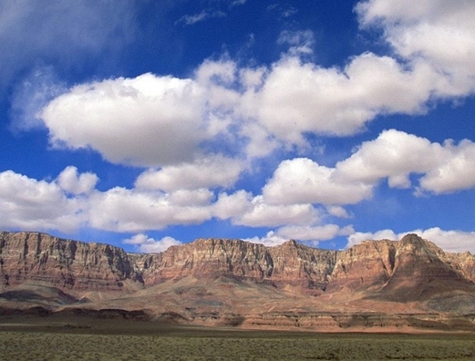 粉象生活商家版能提现吗