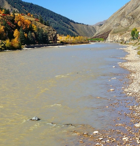 粉象生活能赚到钱吗