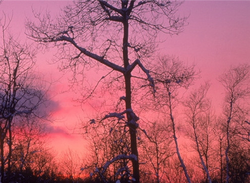 粉象生活能赚到钱吗