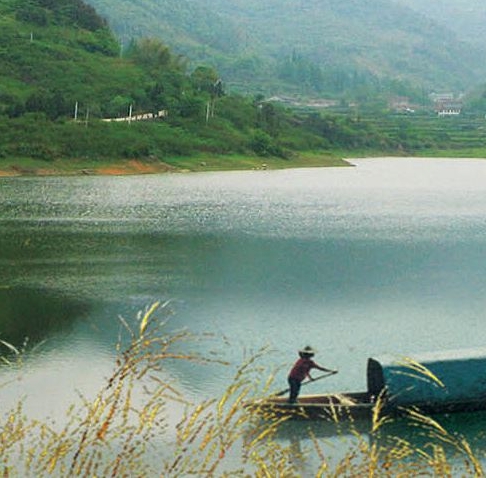 粉象生活打卡赚钱