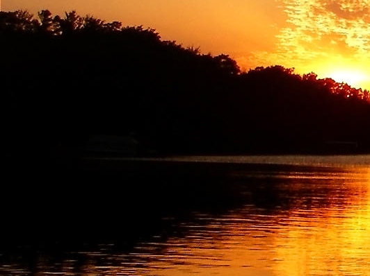 粉象生活是什么?