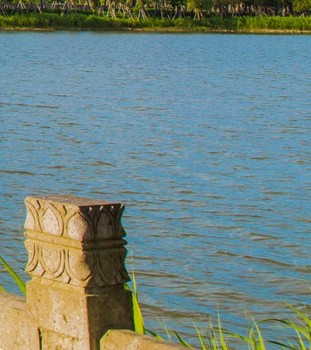 比利时浅粉象啤酒