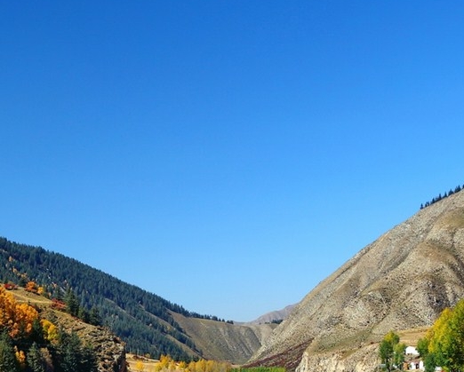 粉象生活开通VIP有什么好处