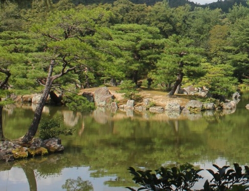 粉象为什么叫断片酒