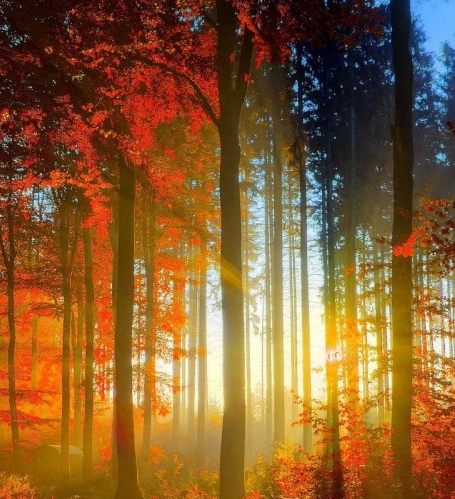 粉象生活官网邀请码