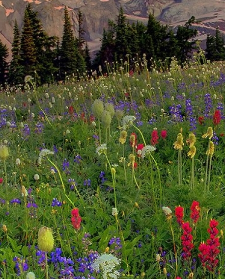 粉象生活赚钱教学