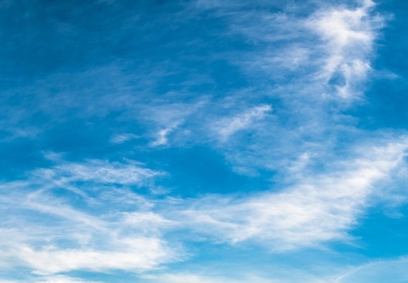 粉象生活是做什么的