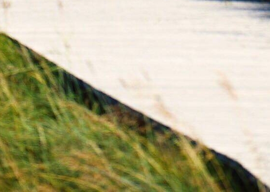 粉象生活收益排名