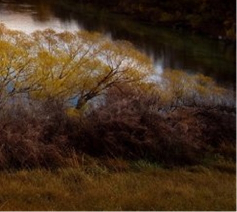 粉象生活是正规平台吗