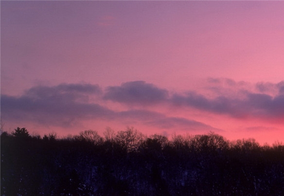 肇庆粉象生活赚钱