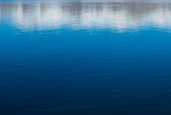 青岛粉象生活推广