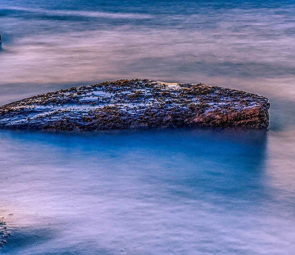 粉象生活邀请码