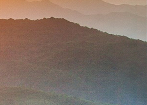 粉象生活推广一个人赚多少钱